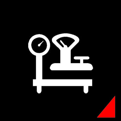 Basculas Industriales